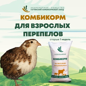 ДК-52- комбикорм для взрослых перепелов от 7 недель